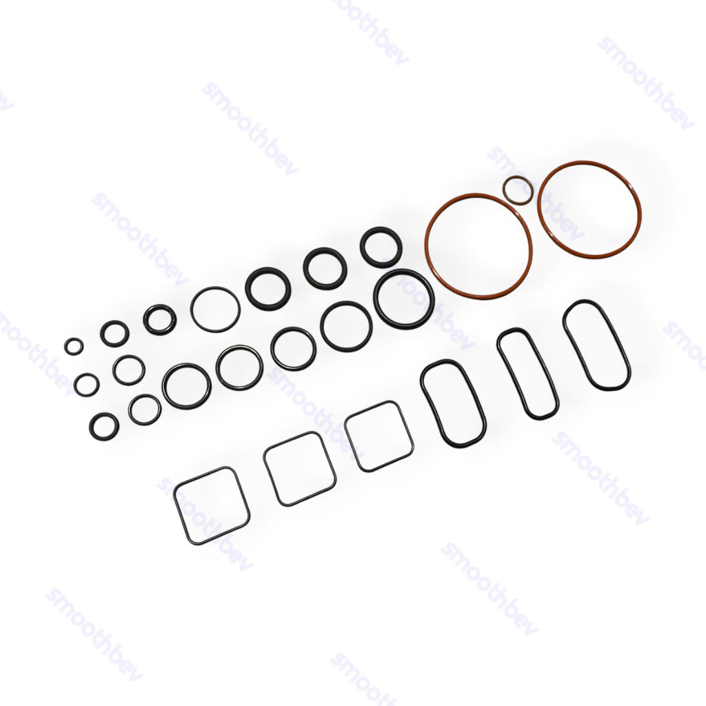 LDU Rebuild and Repair O-Ring Kit 25pcs.